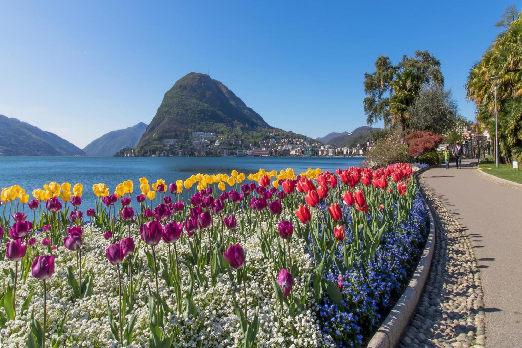 Love Of Lugano - Happy Rentals ภายนอก รูปภาพ